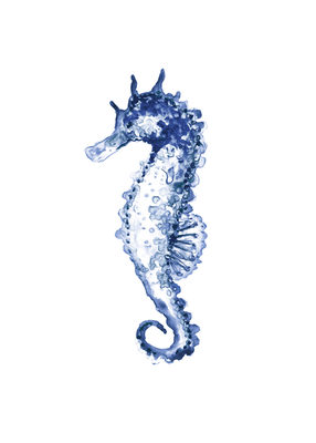 Image Not Available